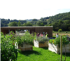 Jardin printemps vue générale.jpg