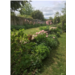 jardin5.jpeg