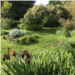Jardin Paguere_sonia chasey 31.jpeg