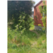 image0000021.jpeg