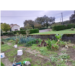 4. Jardin de Martine et Jean-Philippe-BD.jpg