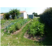 10. le jardin de Patrick-BD.jpg