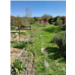 13. Le jardin de Yann-bd.jpg