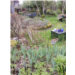 20. Le jardin de Fabienne et Philippe-BD.jpg