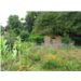 21. Jardin d'Olivier et Rachel-BD.jpg