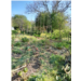22. Le jardin de Fabienne-BD.jpg