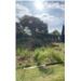 JArdin Auriol1 v2.jpg