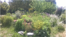 WP_20190602_004.jpg