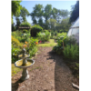 RESSOURCES VERTES_JARDIN_PAILLAGE_BROYAT_JAJE_Gravelines_2024.06 (16).jpeg