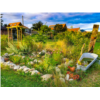 JARDIN_ROCAILLE_BOLEZEELE_BDMJN_LeJardinDesSaules_20240615 (1).jpg