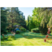 maw20250429JardinMaximeBabetteMOREL_StMaix-0273.jpg