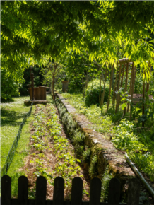 maw20250429JardinMaximeBabetteMOREL_StMaix-0313.jpg