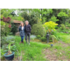 photo jardin et portraits - Copie.jpg