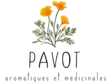 Logo_pepiniere_pavot.jpg