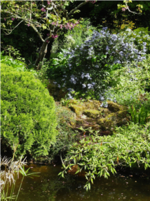 Jardin 1mai2025 (1).JPG
