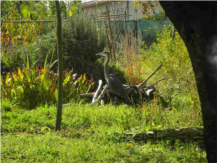 jardin 3-min_11zon.jpg