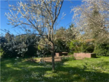 IMG_20250403_094953.jpg