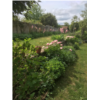 jardin5.jpeg