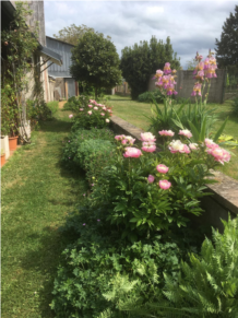 jardin7.jpeg