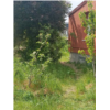 image0000021.jpeg