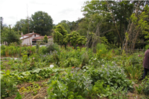 19. Jardin M. et Mme Varin-Frémondière 2-BD.jpg