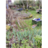 20. Le jardin de Fabienne et Philippe-BD.jpg
