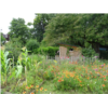 21. Jardin d'Olivier et Rachel-BD.jpg