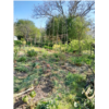 22. Le jardin de Fabienne-BD.jpg