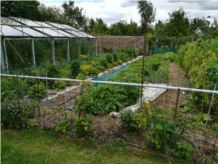 23. Jardin de Joseph-BD.jpg