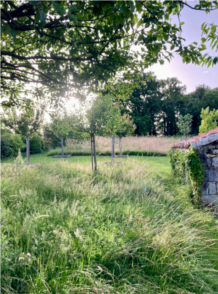 Capture d’écran 2026-04-28 165540.png