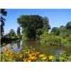 lep_biodiversiteaquatique SITE.jpg