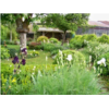 Jardin_Martine2.jpg