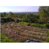 Jardin_Philippe.jpg