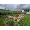 Jardin_anais1.jpg