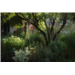 8Q9A9814-min.jpg