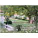 Capture d’écran 2026-04-28 165433.png