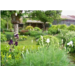Jardin_Martine2.jpg