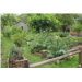 13. Le jardin de Geneviève et Mickaël.jpg