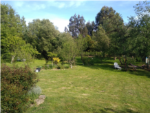 Jardin Borcudan Françoise Le Strat (6).jpg