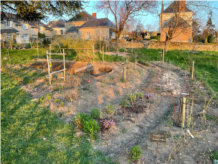 Nouvelle Plantation Syntropique Oasis Gourmande mars 2025.jpg