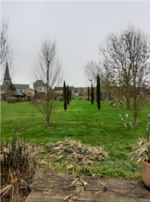 braouezec-parc.JPG
