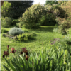 Jardin Paguere_sonia chasey 31.jpeg