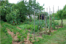 1-Le jardin de Louis.JPG