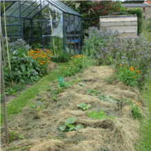 12. Le jardin de Thérèse et Gilles-BD.jpg