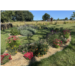 IMG_3827resiz.png