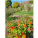jardin Anna&Syl.jpg