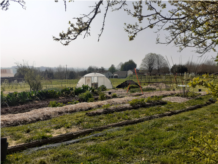 Capture d’écran 2026-04-28 171937.png