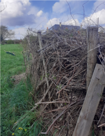 Capture d’écran 2026-04-29 091418.png