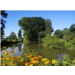 lep_biodiversiteaquatique SITE.jpg