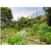 accueil-au-jardin-medieval-la-bastidou-peyrusse-le-roc-2026-06-06t1000000200.jpg